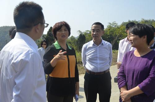 县领导杨良锋,杭莺,王光新,姜崇俊,李力,石磊,宋昵荔,石峰,程冰野,县